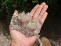 Natural White Phantom Smokey Quartz Clusters  x 6 From Luena, Congo - TopRock