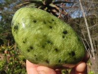 Polished Spotted Leopard Stone Standing Free Forms  x 3 From Zimbabwe - Toprock Gemstones and Minerals 