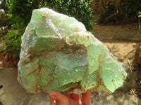 Natural Icy Emerald Fluorite Specimen  x 1 From Uis, Namibia