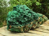 Natural Large Silky Malachite In Copper Dolomite Matrix  x 1 From Kasompe, Congo - TopRock