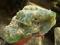 Natural Icy Emerald Fluorite Specimen  x 1 From Uis, Namibia