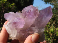 Natural Jacaranda Amethyst Clusters  x 3 From Zambia - Toprock Gemstones and Minerals 