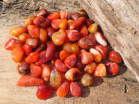 Polished  Small Carnelian Agate Free Forms  x 1 Kg Lot From Madagascar