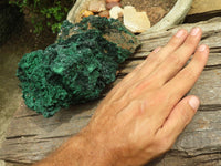 Natural Large Silky Malachite In Copper Dolomite Matrix  x 1 From Kasompe, Congo - TopRock