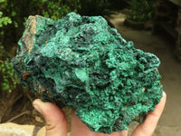 Natural Large Silky Malachite In Copper Dolomite Matrix  x 1 From Kasompe, Congo - TopRock