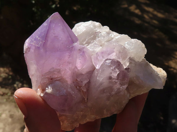 Natural Jacaranda Amethyst Clusters  x 3 From Zambia - Toprock Gemstones and Minerals 