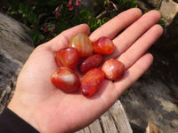 Polished  Small Carnelian Agate Free Forms  x 1 Kg Lot From Madagascar