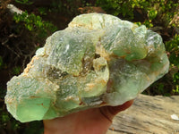 Natural Icy Emerald Fluorite Specimen  x 1 From Uis, Namibia