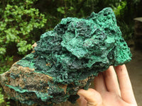 Natural Large Silky Malachite In Copper Dolomite Matrix  x 1 From Kasompe, Congo - TopRock