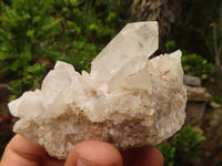 Natural Single Clear Quartz Crystals  x 12 From Mpika, Zambia - Toprock Gemstones and Minerals 