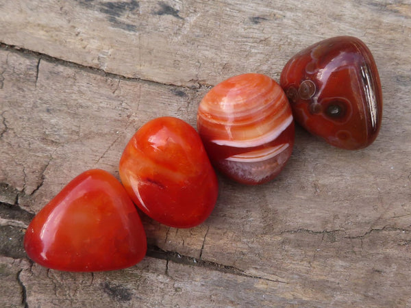 Polished  Small Carnelian Agate Free Forms  x 1 Kg Lot From Madagascar