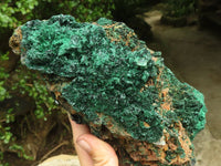 Natural Large Silky Malachite In Copper Dolomite Matrix  x 1 From Kasompe, Congo - TopRock