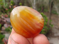 Polished  Small Carnelian Agate Free Forms  x 1 Kg Lot From Madagascar