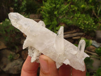 Natural Single Clear Quartz Crystals  x 12 From Mpika, Zambia - Toprock Gemstones and Minerals 