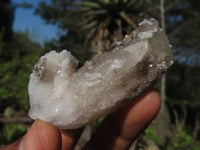 Natural Drusy Quartz Coated Fluorescent Peach Calcite Crystal Specimens  x 35 From Alberts Mountain, Lesotho - Toprock Gemstones and Minerals 