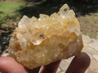 Natural Golden Limonite / Lemonite Quartz Clusters  x 13 From Zambia - TopRock