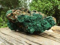 Natural Large Silky Malachite In Copper Dolomite Matrix  x 1 From Kasompe, Congo - TopRock