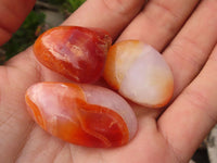 Polished  Small Carnelian Agate Free Forms  x 1 Kg Lot From Madagascar