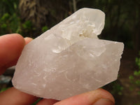 Natural Single Clear Quartz Crystals  x 12 From Mpika, Zambia - Toprock Gemstones and Minerals 