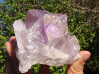 Natural Jacaranda Amethyst Clusters  x 3 From Zambia - Toprock Gemstones and Minerals 