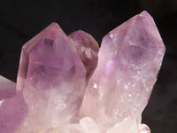 Natural Jacaranda Amethyst Clusters  x 3 From Zambia - Toprock Gemstones and Minerals 