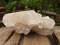 Natural Single Clear Quartz Crystals  x 12 From Mpika, Zambia - Toprock Gemstones and Minerals 