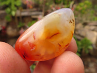 Polished  Small Carnelian Agate Free Forms  x 1 Kg Lot From Madagascar