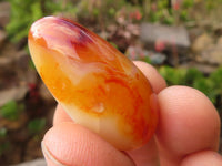 Polished  Small Carnelian Agate Free Forms  x 1 Kg Lot From Madagascar