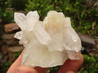 Natural Single Clear Quartz Crystals  x 12 From Mpika, Zambia - Toprock Gemstones and Minerals 