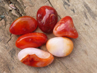 Polished  Small Carnelian Agate Free Forms  x 1 Kg Lot From Madagascar