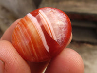 Polished  Small Carnelian Agate Free Forms  x 1 Kg Lot From Madagascar