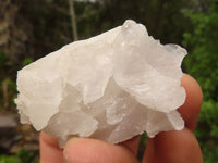 Natural Single Clear Quartz Crystals  x 12 From Mpika, Zambia - Toprock Gemstones and Minerals 