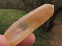 Natural Single Clear Quartz Crystals  x 35 From Madagascar - TopRock