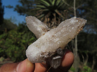 Natural Drusy Quartz Coated Fluorescent Peach Calcite Crystal Specimens  x 35 From Alberts Mountain, Lesotho - Toprock Gemstones and Minerals 