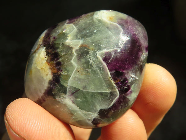 Polished Watermelon Fluorite Free Forms  x 12 From Uis, Namibia - Toprock Gemstones and Minerals 