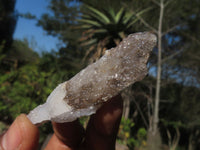 Natural Drusy Quartz Coated Fluorescent Peach Calcite Crystal Specimens  x 35 From Alberts Mountain, Lesotho - Toprock Gemstones and Minerals 