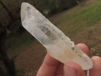 Natural Single Clear Quartz Crystals  x 35 From Madagascar - TopRock