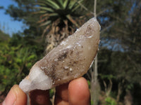 Natural Drusy Quartz Coated Fluorescent Peach Calcite Crystal Specimens  x 35 From Alberts Mountain, Lesotho - Toprock Gemstones and Minerals 