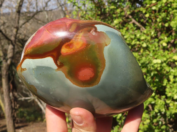 Polished Polychrome Jasper Domed Pieces  x 2 From Madagascar