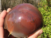 Polished Polychrome Jasper Domed Pieces  x 2 From Madagascar