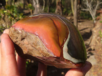 Polished Polychrome Jasper Domed Pieces  x 2 From Madagascar