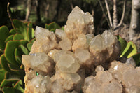 Natural Malachite Infused Smokey Quartz Cluster x 1 From Luena, Congo - TopRock