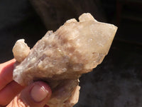 Natural Cascading White Phantom Smokey Quartz Clusters  x 6 From Luena, Congo - Toprock Gemstones and Minerals 