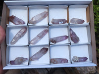 Natural Long Window Amethyst Quartz Crystals  x 12 From Chiredzi, Zimbabwe