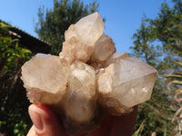 Natural Cascading White Phantom Smokey Quartz Clusters  x 6 From Luena, Congo - Toprock Gemstones and Minerals 