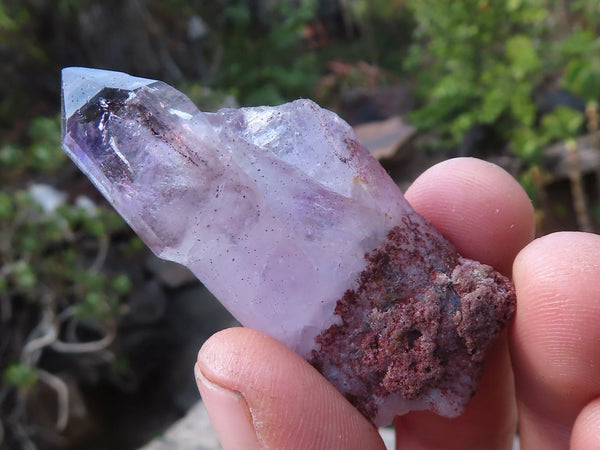 Natural Long Window Amethyst Quartz Crystals  x 12 From Chiredzi, Zimbabwe