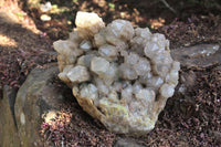 Natural Malachite Infused Smokey Quartz Cluster x 1 From Luena, Congo - TopRock