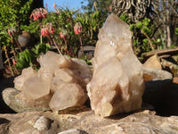 Natural Cascading White Phantom Smokey Quartz Clusters  x 6 From Luena, Congo - Toprock Gemstones and Minerals 