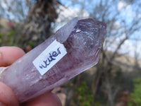 Natural Long Window Amethyst Quartz Crystals  x 12 From Chiredzi, Zimbabwe