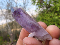 Natural Long Window Amethyst Quartz Crystals  x 12 From Chiredzi, Zimbabwe